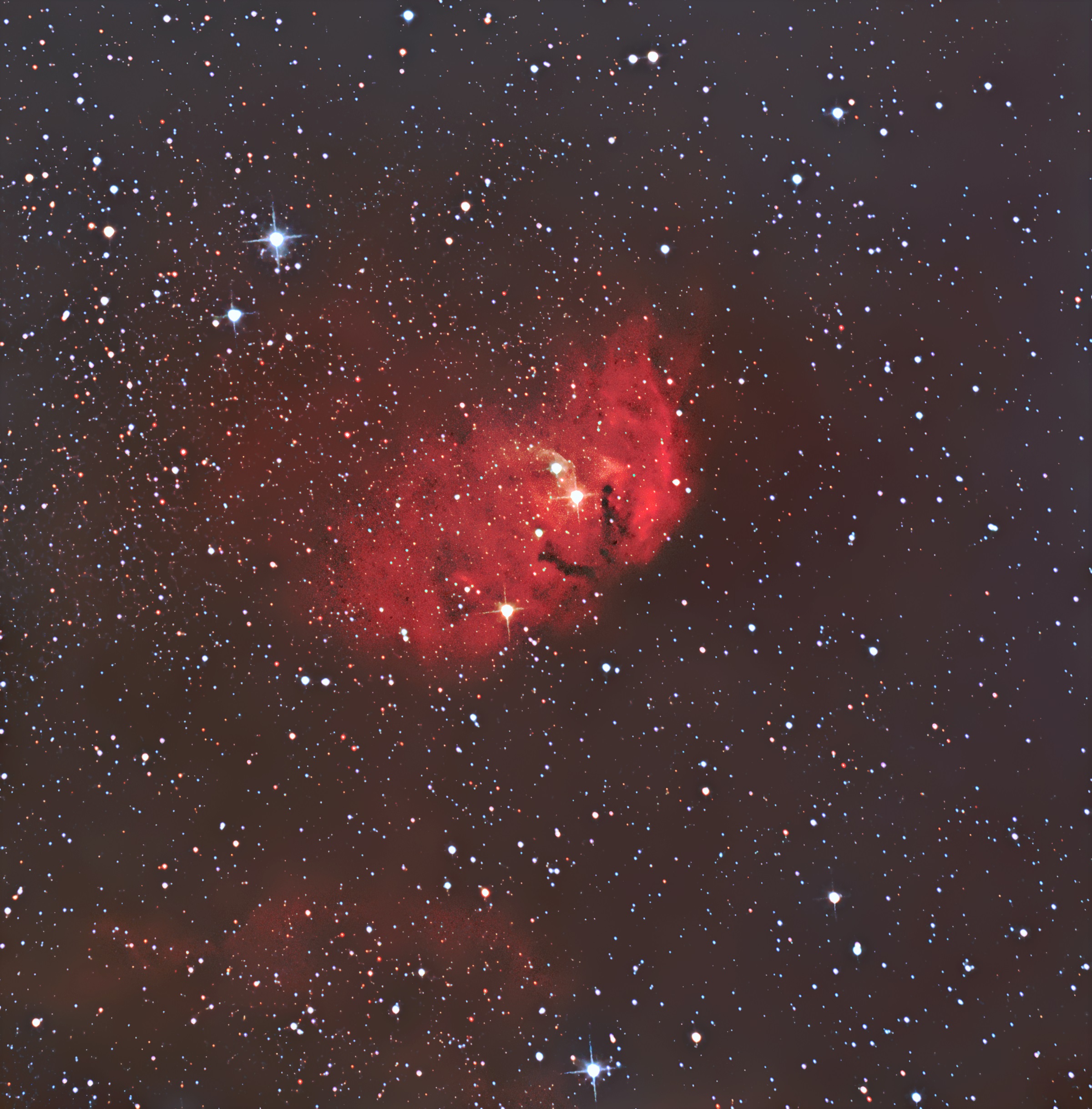 The Tulip Nebula (Sharpless 101)