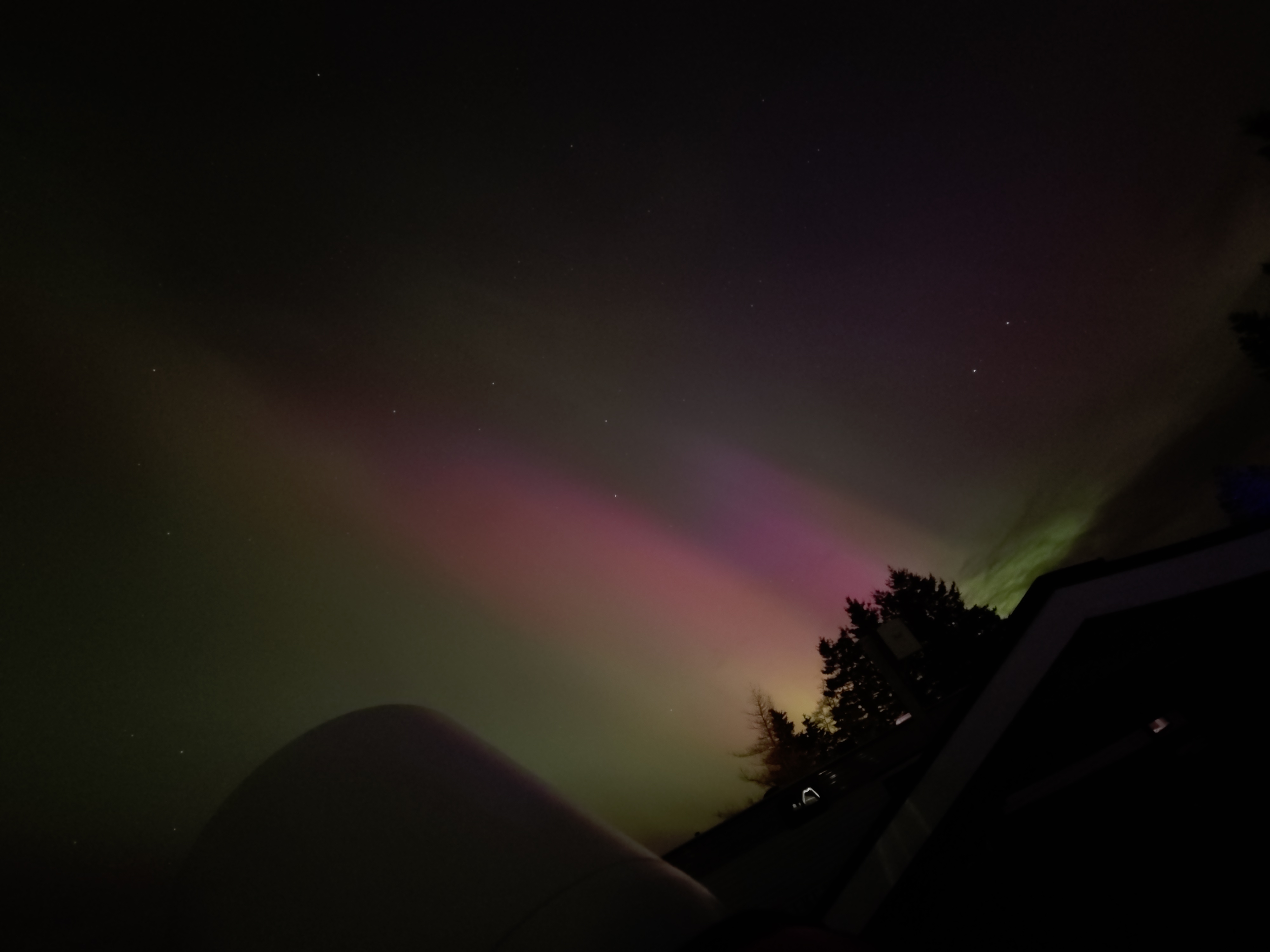 Aurora