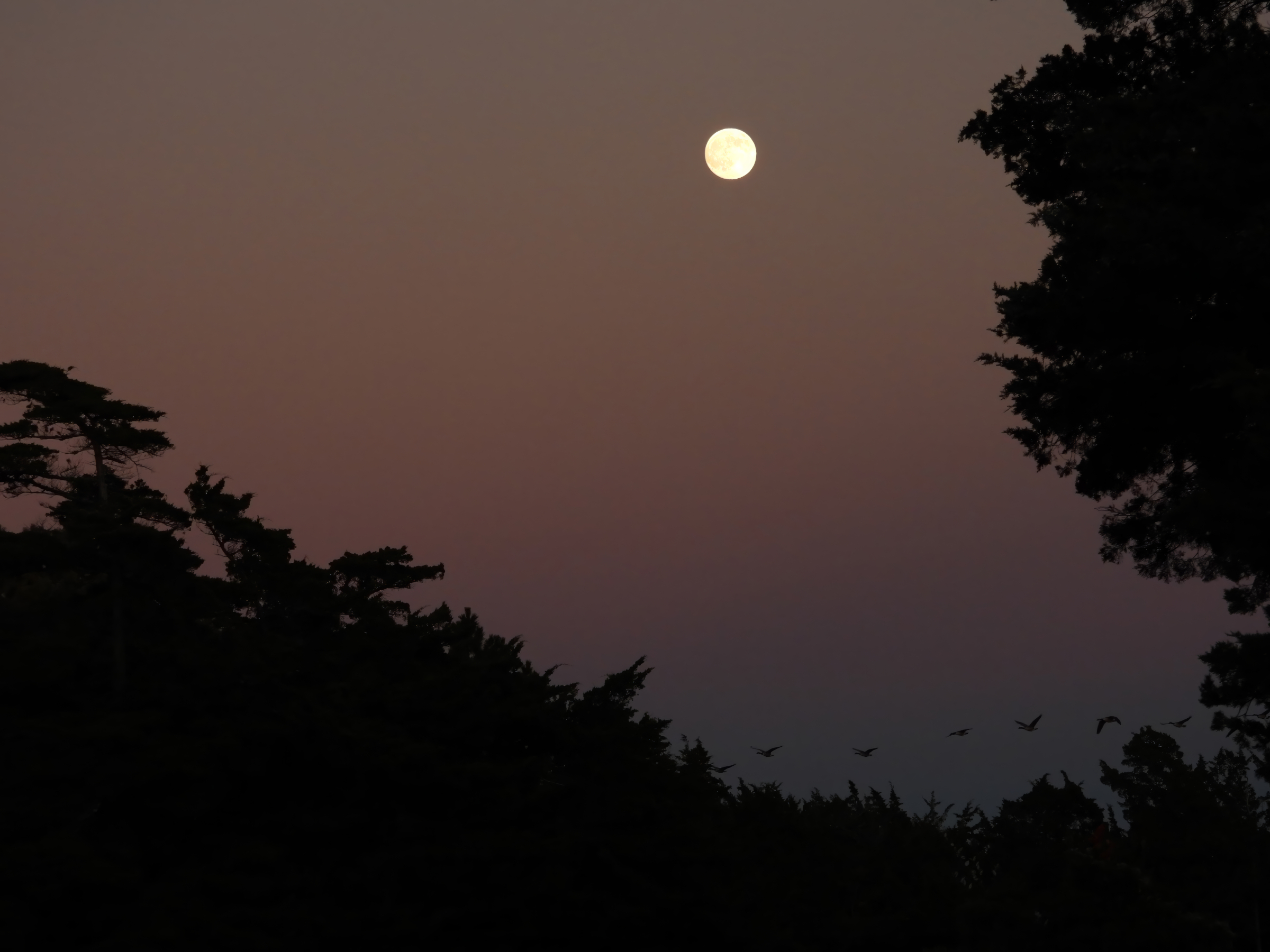 Nightscape photo of the central Milky Way