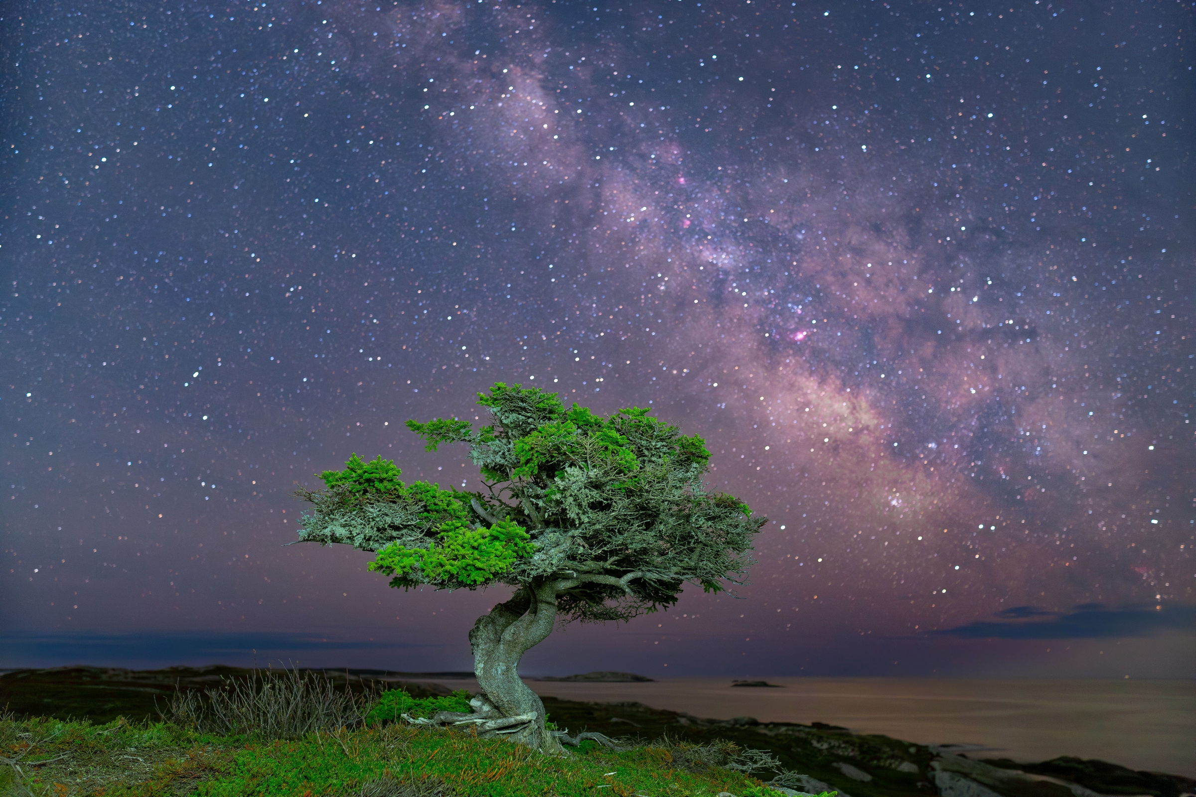 Nightscape photo of the central Milky Way